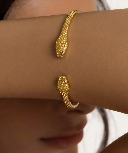 Apyrankė "Gyvatės"